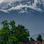 Group logo of Common Space